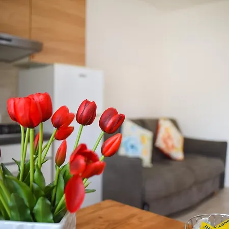 Porto Apartment